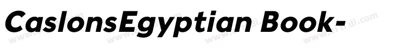 CaslonsEgyptian Book字体转换 CaslonsEgyptian Book字体转换